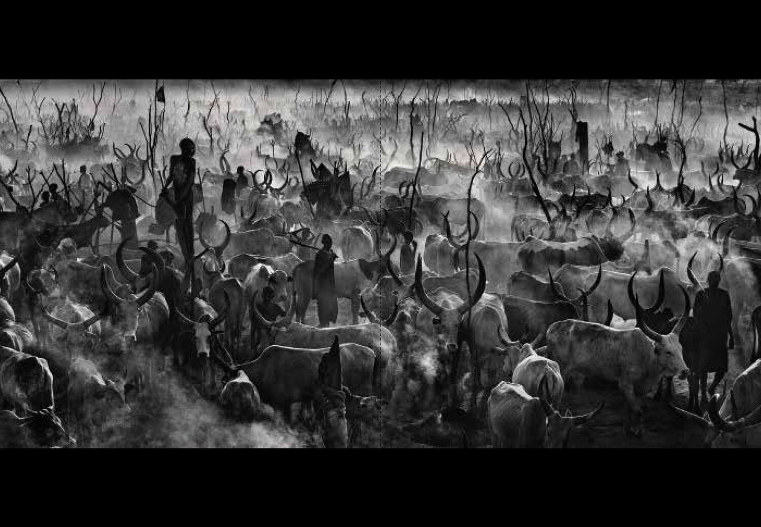 Bild: 9783038762140 | Wie ich Fotos mache | Masters of Photography | David Yarrow | Buch