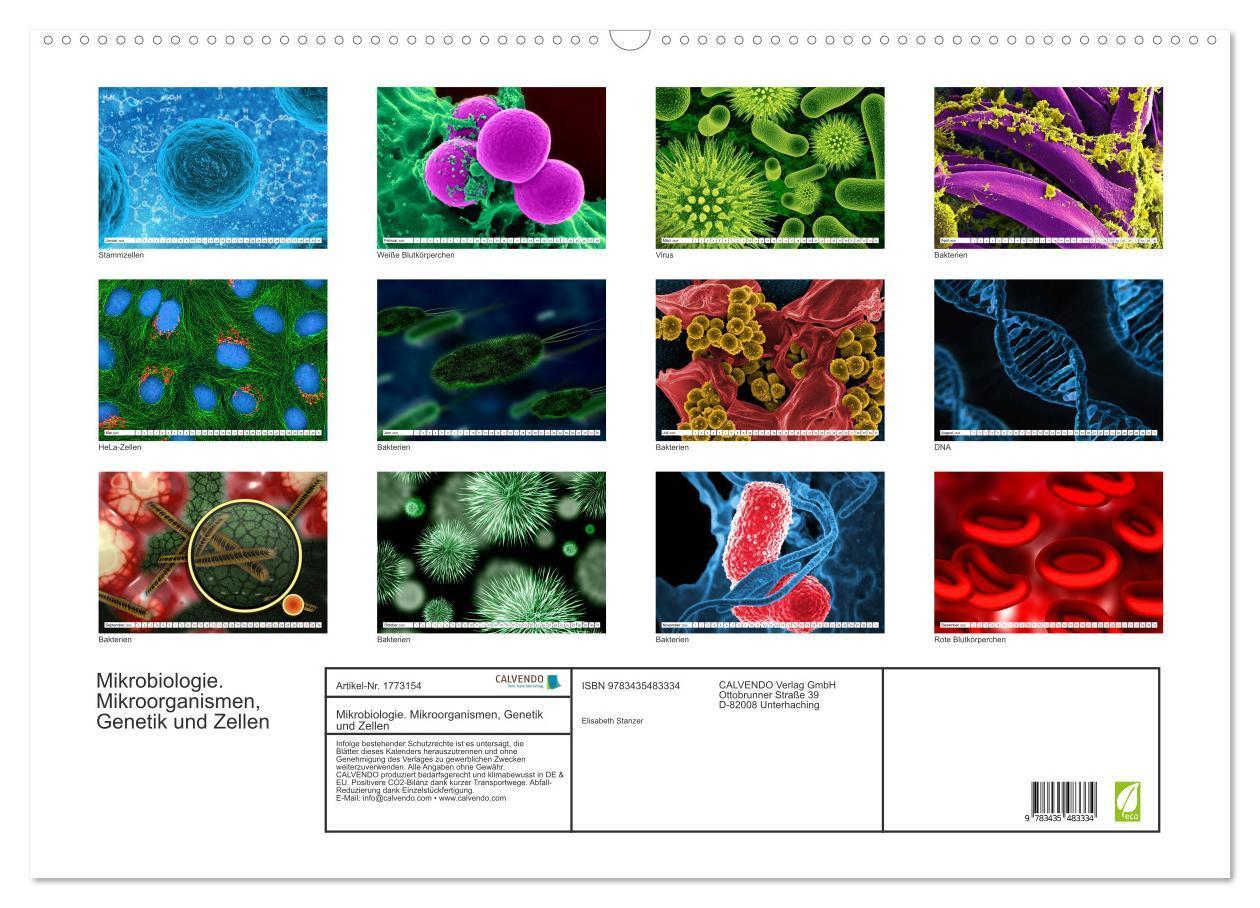 Bild: 9783435483334 | Mikrobiologie. Mikroorganismen, Genetik und Zellen (Wandkalender...