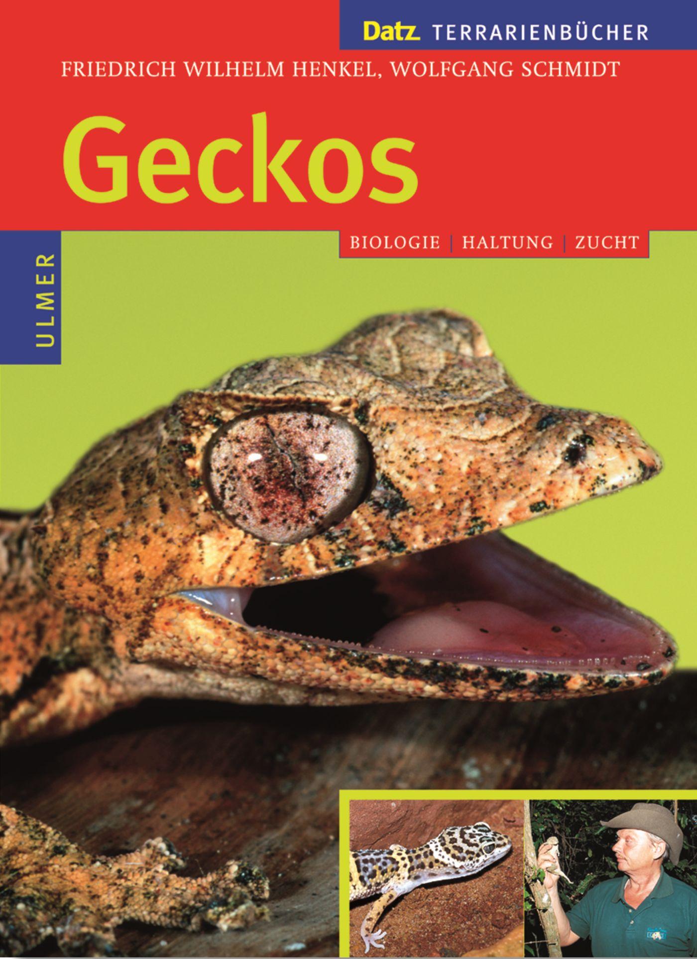 Cover: 9783800138548 | Geckos | Biologie, Haltung und Zucht | Henkel (u. a.) | Buch | 175 S.