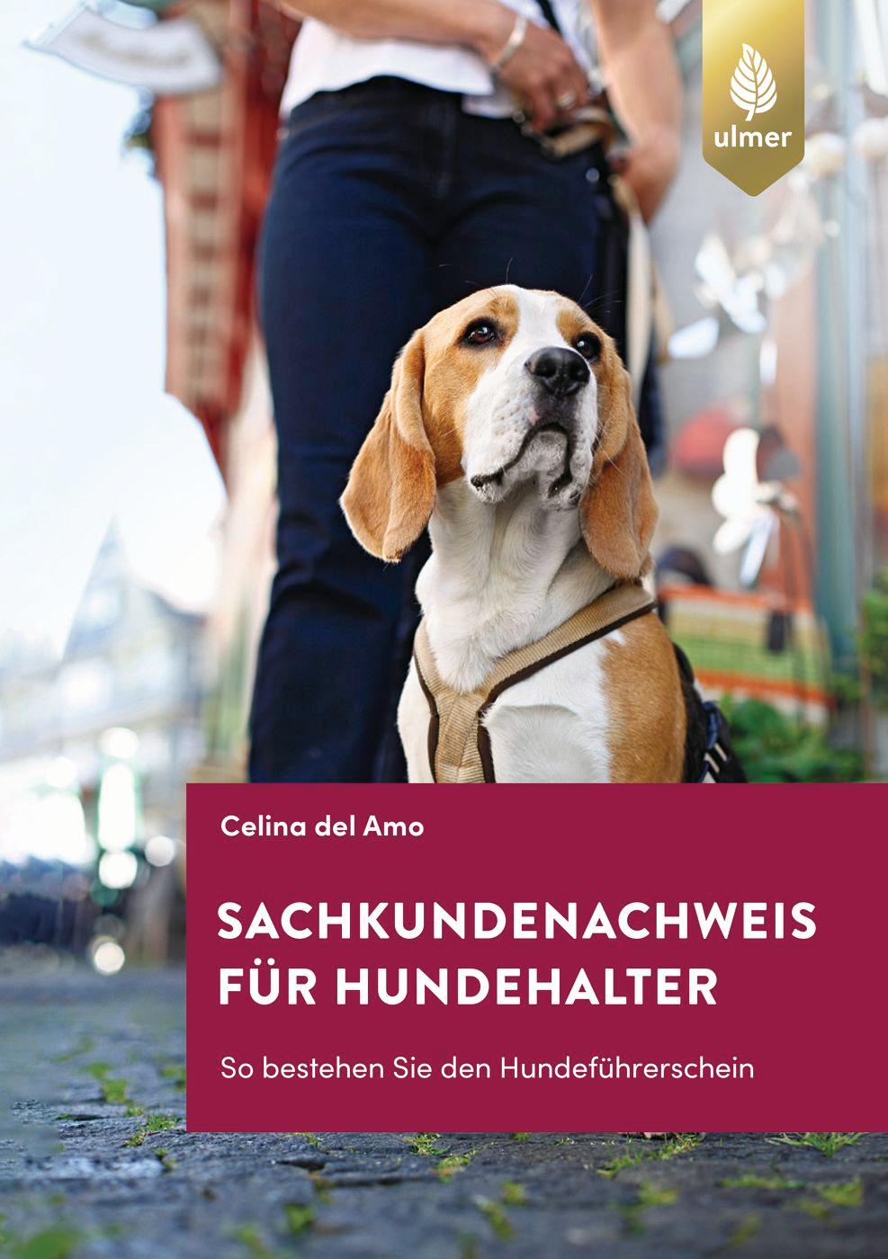 Cover: 9783818616083 | Sachkundenachweis für Hundehalter | Celina Del Amo | Taschenbuch