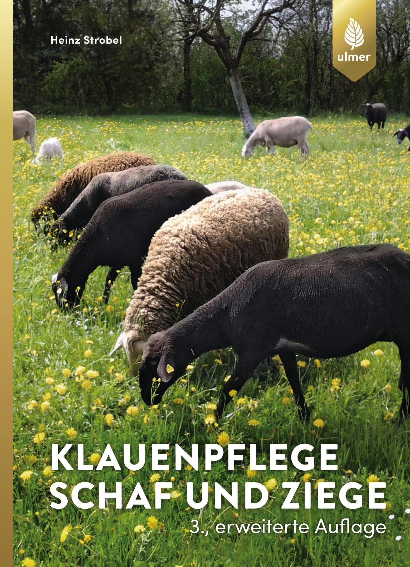 Cover: 9783818605049 | Klauenpflege Schaf und Ziege | Heinz Strobel | Taschenbuch | 176 S.