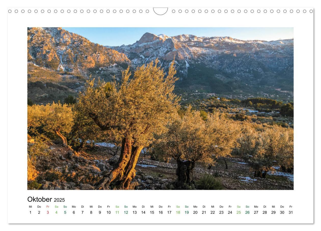 Bild: 9783435453269 | Sehnsucht nach Mallorca (Wandkalender 2025 DIN A3 quer), CALVENDO...