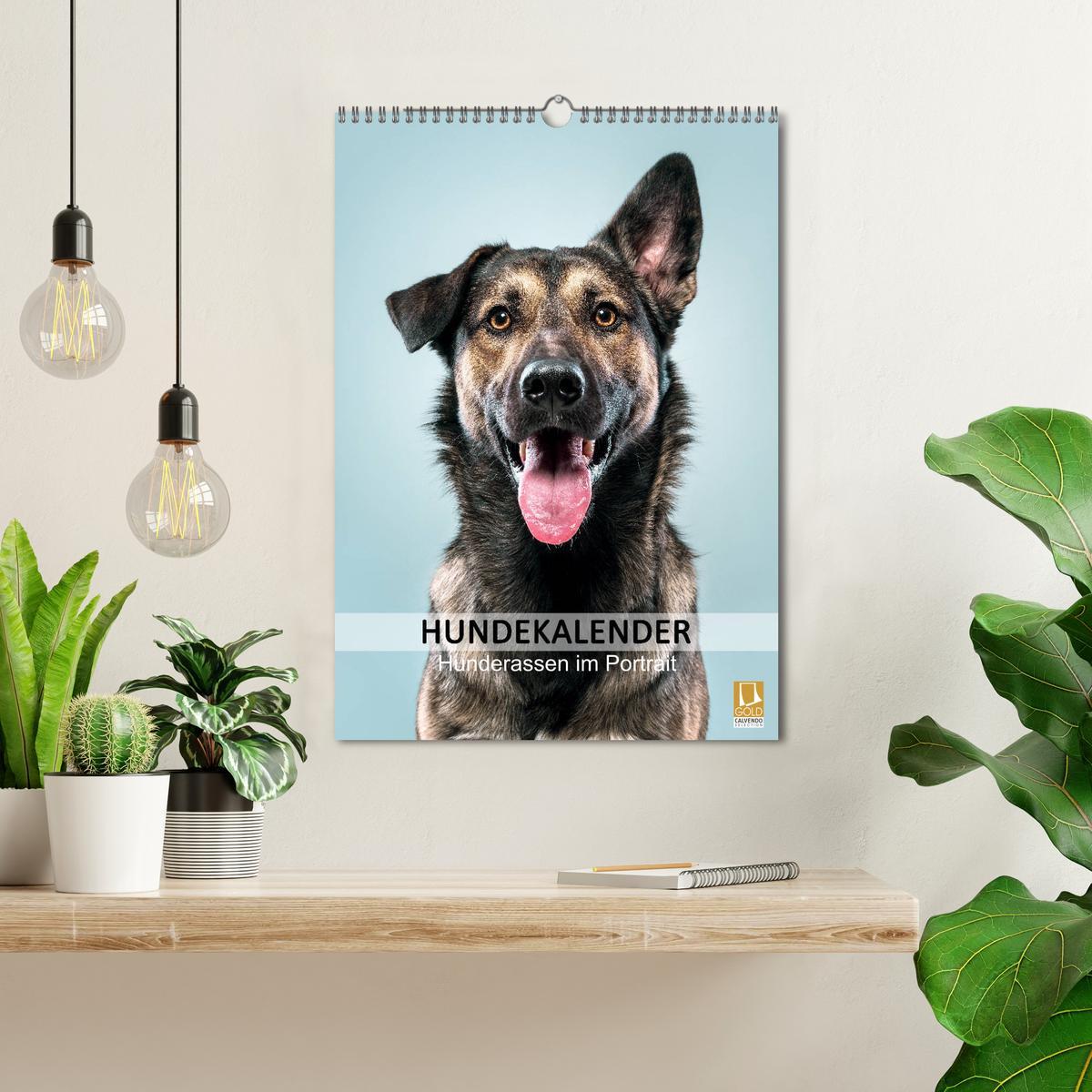 Bild: 9783435975143 | Hundekalender - Hunderassen im Portrait (Wandkalender 2025 DIN A3...