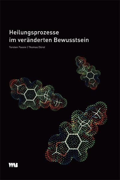 Cover: 9783861352051 | Heilungsprozesse im veränderten Bewusstsein | Torsten Passie (u. a.)