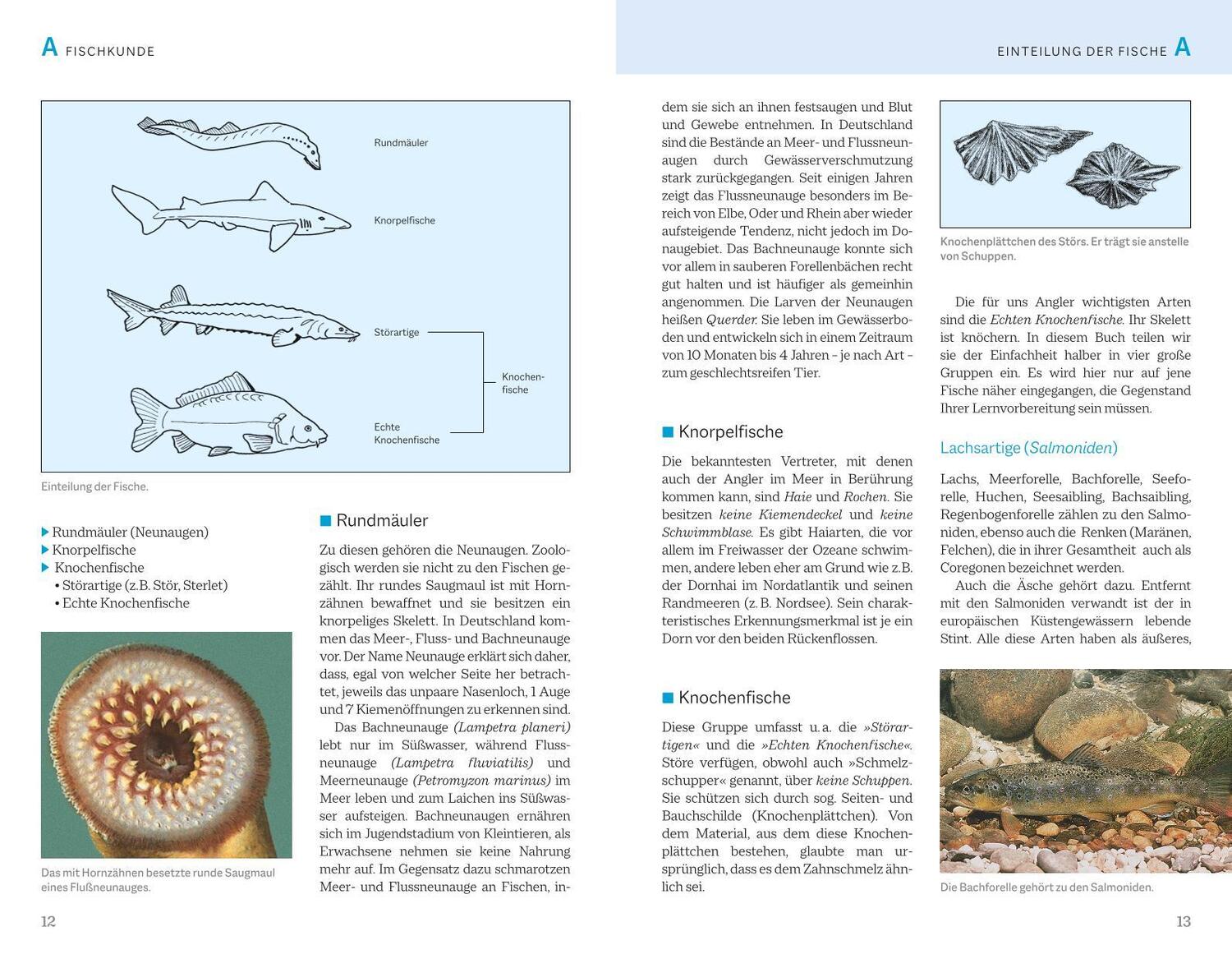 Bild: 9783967470963 | Fischerprüfung | Das Standardwerk | Alexander Kölbing (u. a.) | Buch