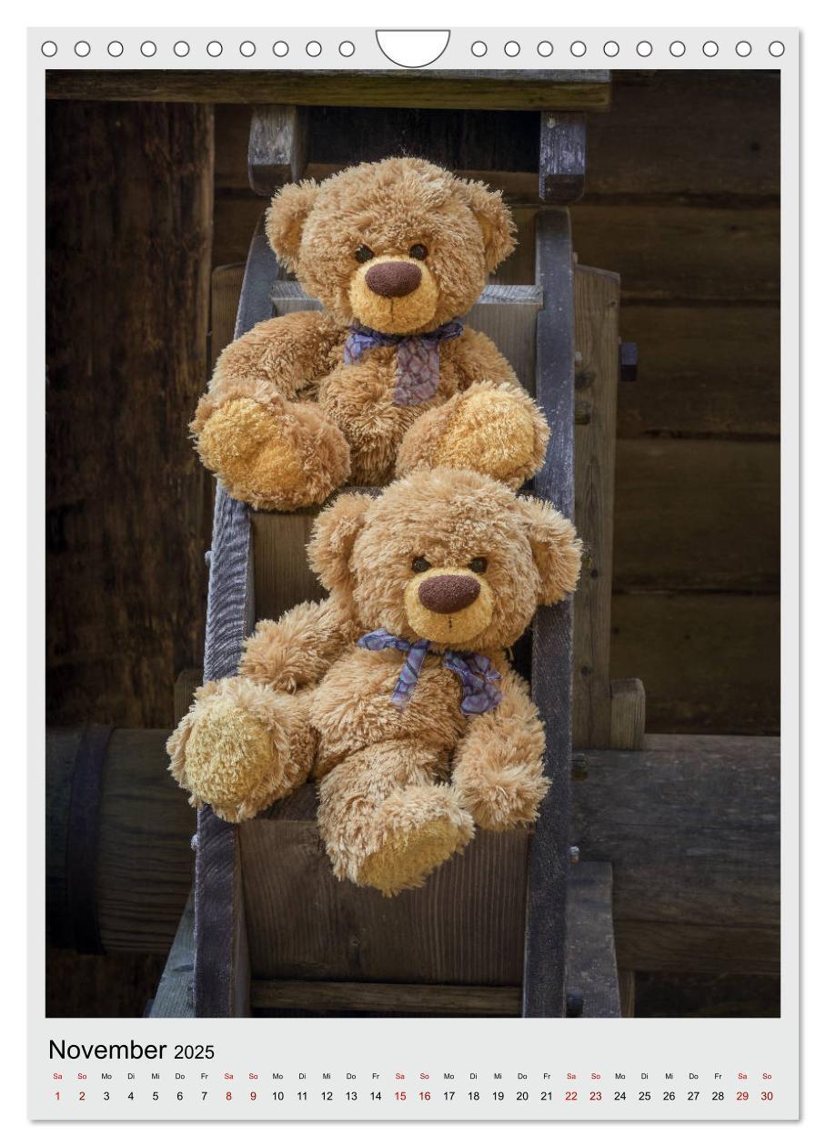 Bild: 9783435985371 | Travelling Teddy in Europa (Wandkalender 2025 DIN A4 hoch),...