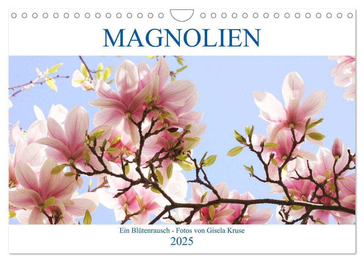 Cover: 9783435240357 | Magnolien Ein Blütenrausch (Wandkalender 2025 DIN A4 quer),...