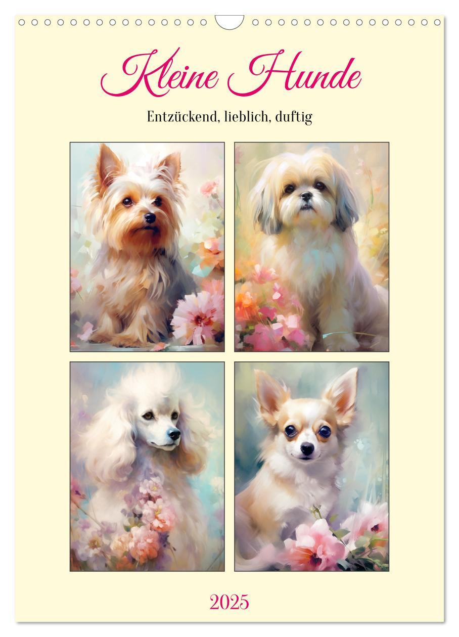 Cover: 9783435871100 | Kleine Hunde. Entzückend, lieblich, duftig (Wandkalender 2025 DIN...