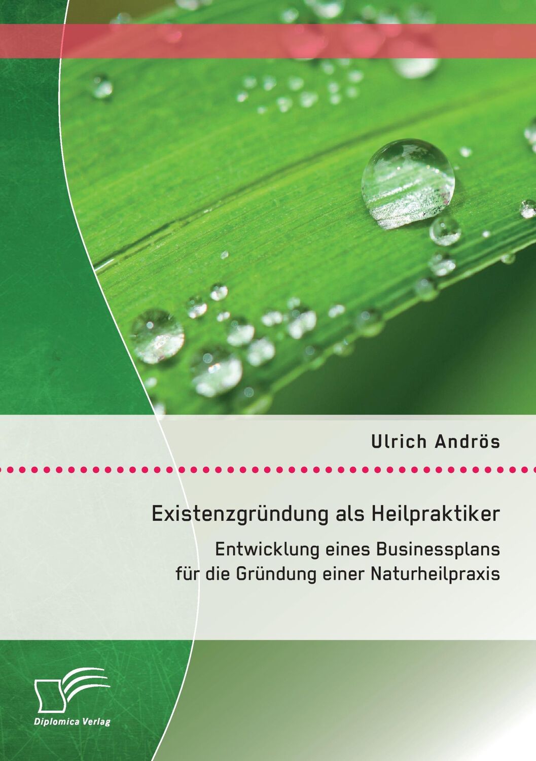 Cover: 9783958508828 | Existenzgründung als Heilpraktiker: Entwicklung eines Businessplans...