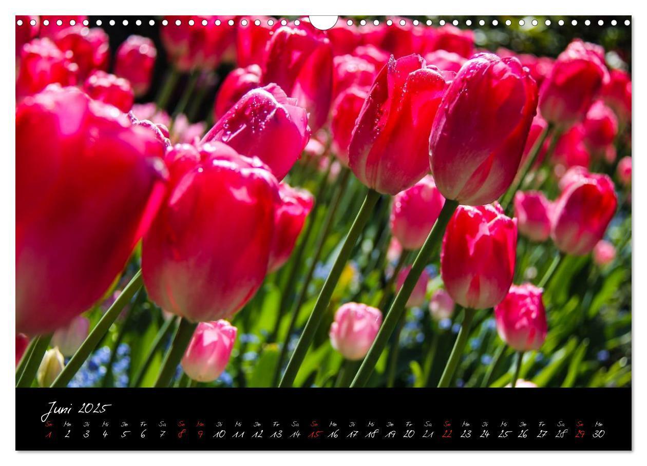 Bild: 9783435775767 | Butchart Gardens 2025 (Wandkalender 2025 DIN A3 quer), CALVENDO...