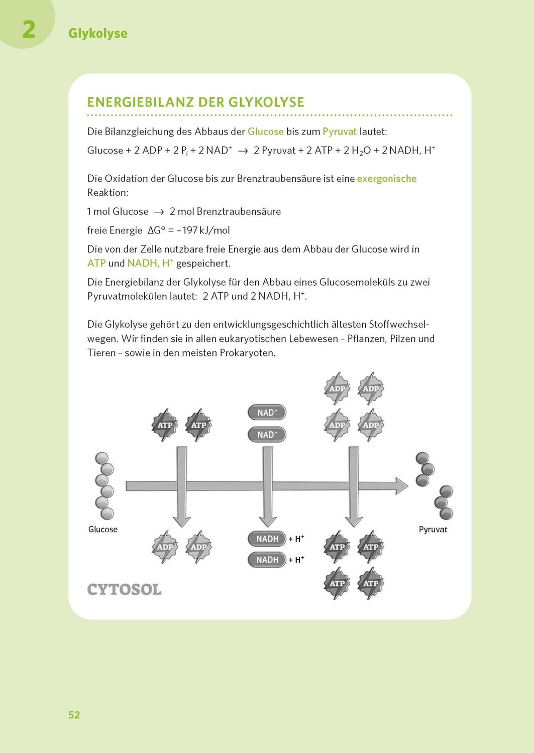 Bild: 9783125625990 | PONS Abi-Check XXL Biologie | Taschenbuch | PONS Abi-Check | 320 S.