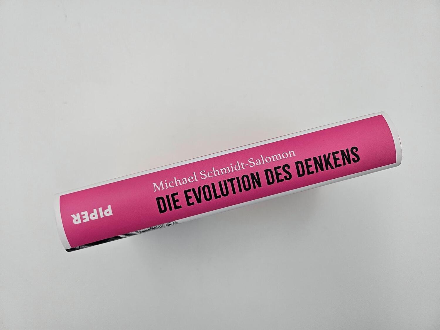 Bild: 9783492072625 | Die Evolution des Denkens | Michael Schmidt-Salomon | Buch | 384 S.