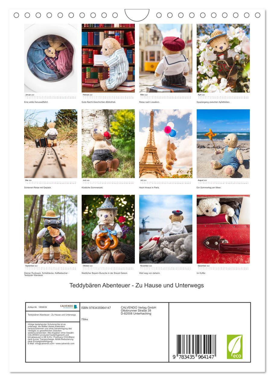 Bild: 9783435964147 | Teddybären Abenteuer - Zu Hause und Unterwegs (Wandkalender 2025...