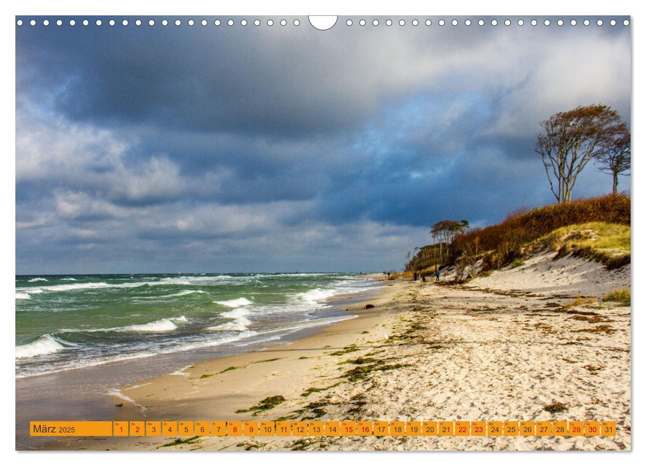 Bild: 9783383782282 | Wilder Darßer Weststrand (Wandkalender 2025 DIN A3 quer), CALVENDO...