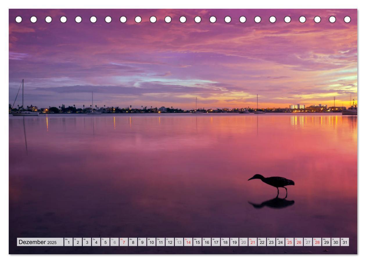 Bild: 9783435819126 | FLORIDA Malerischer Sonnenscheinstaat (Tischkalender 2025 DIN A5...