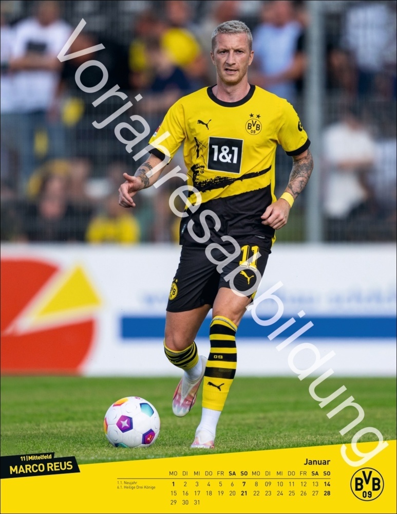 Bild: 9783756405435 | BVB Posterkalender 2025 | Kalender | Spiralbindung | 15 S. | Deutsch