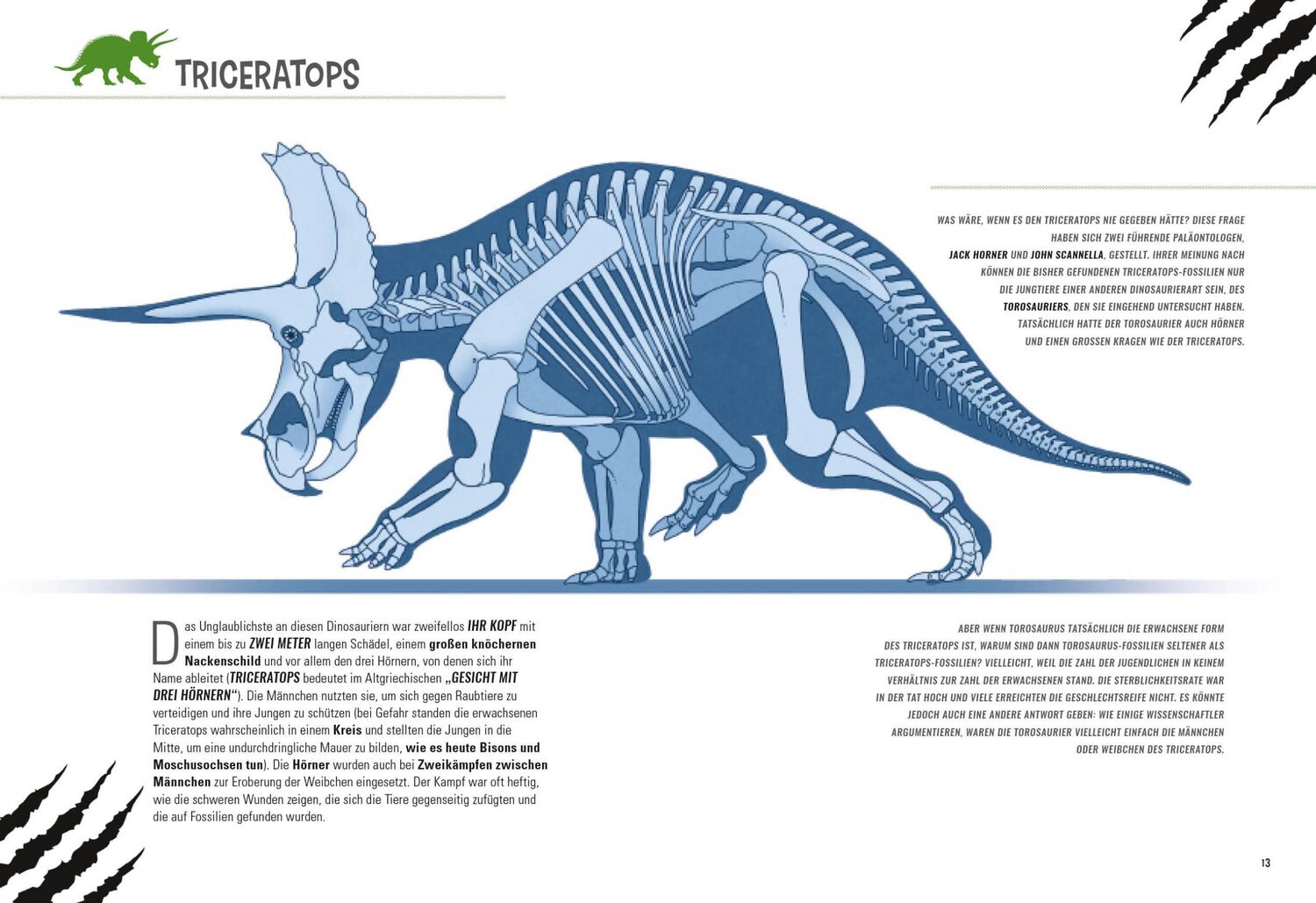 Bild: 9788863125382 | Gepanzerte Dinosaurier | National Geographic Kids | Tper | Buch | 2022