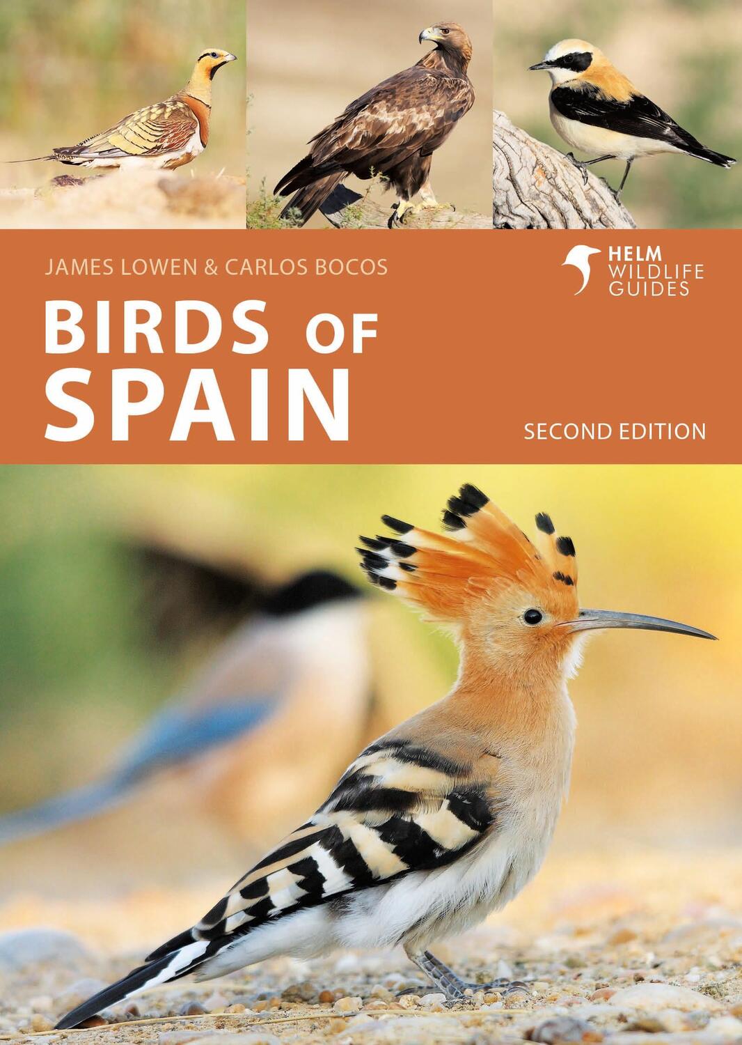 Cover: 9781399405010 | Birds of Spain | Carlos Bocos Gonzalez (u. a.) | Taschenbuch | 2024