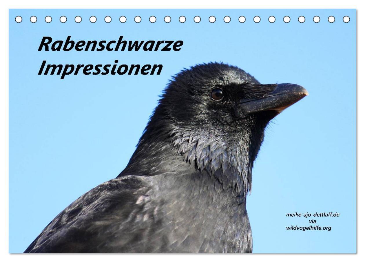 Cover: 9783435539598 | Rabenschwarze Impressionen - meike-ajo-dettlaff.de via...