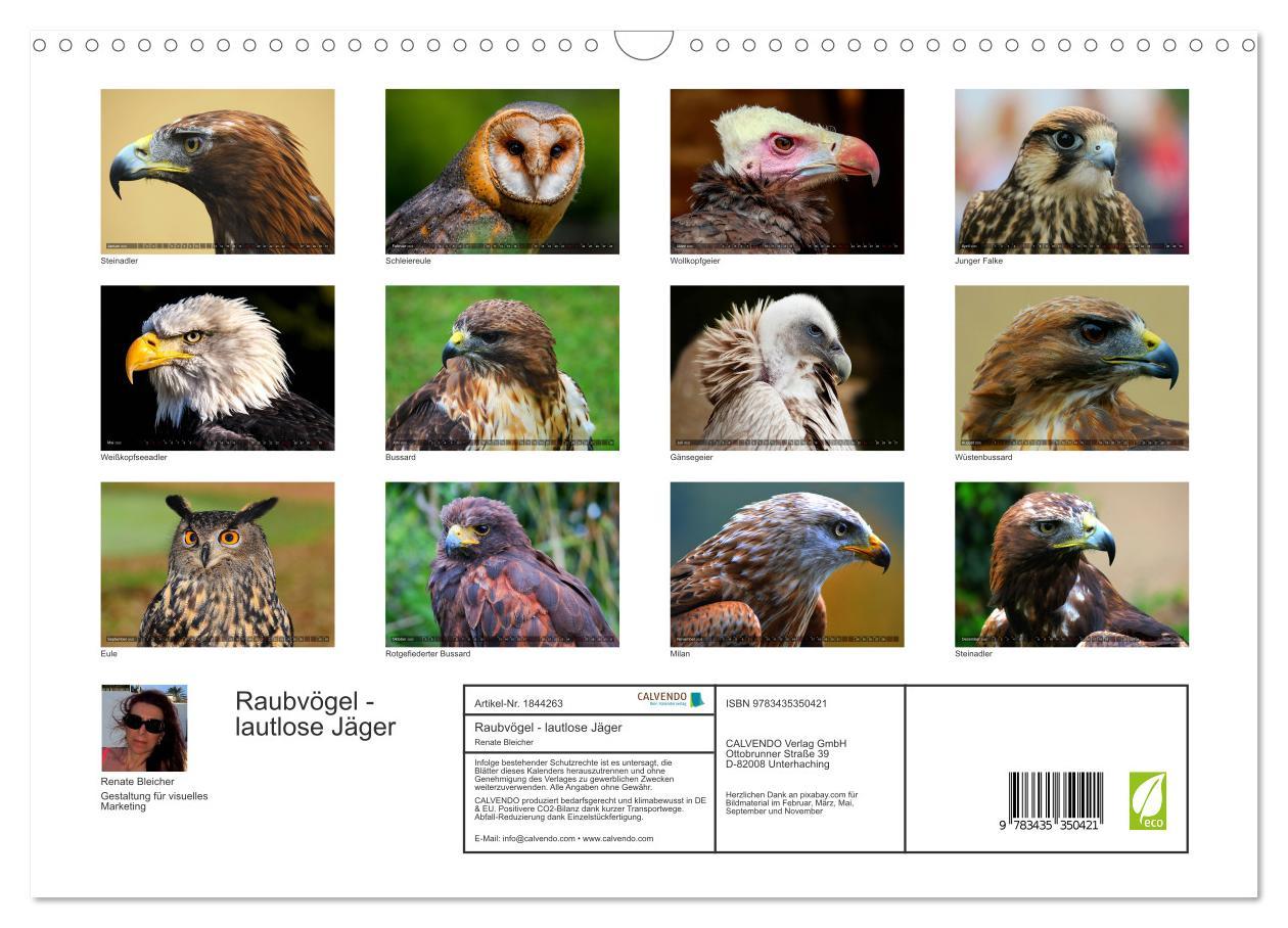 Bild: 9783435350421 | Raubvögel - lautlose Jäger (Wandkalender 2025 DIN A3 quer),...