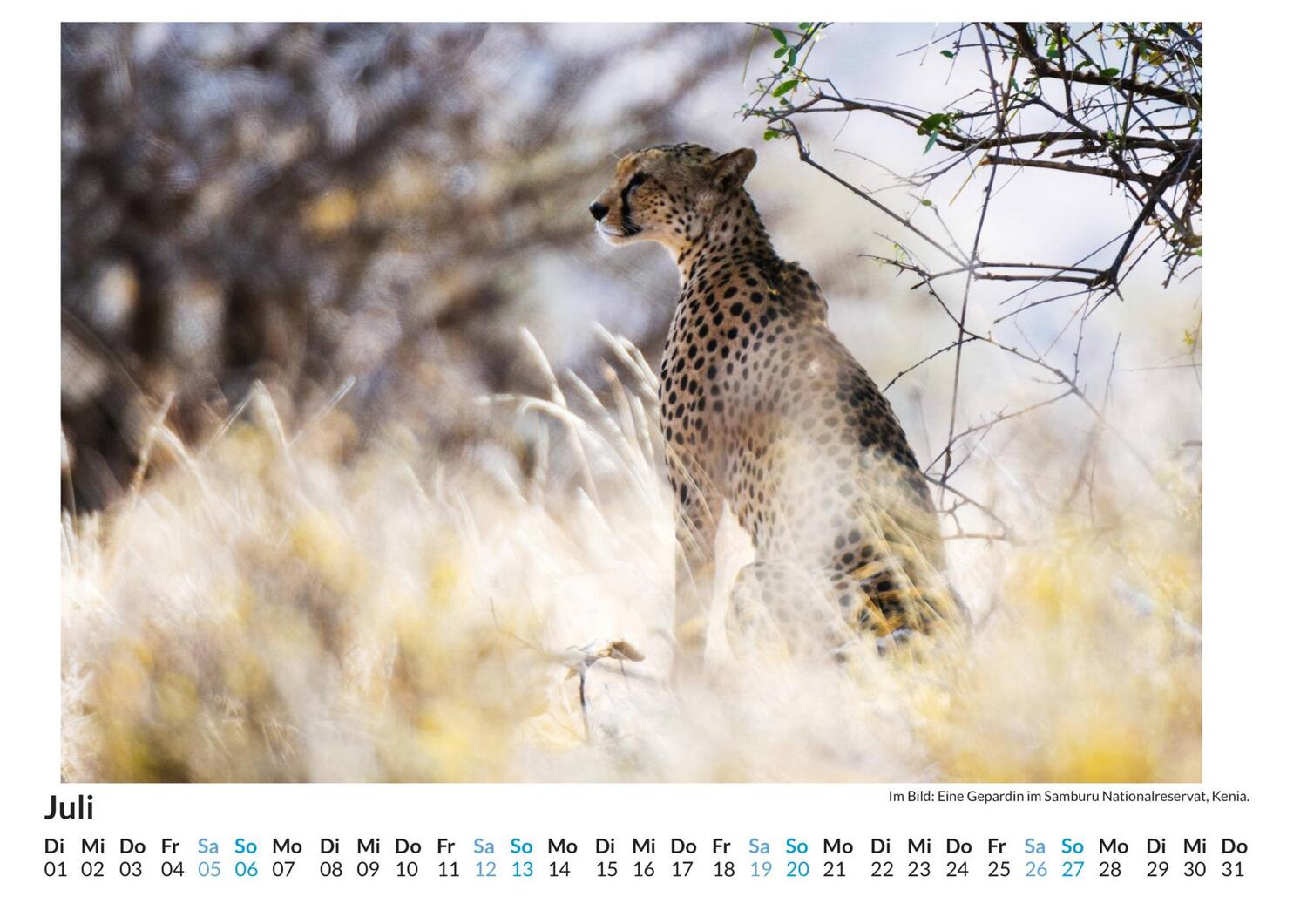 Bild: 9783759121301 | Kenia - (Wandkalender 2025, Kalender DIN A4 quer, Monatskalender im...