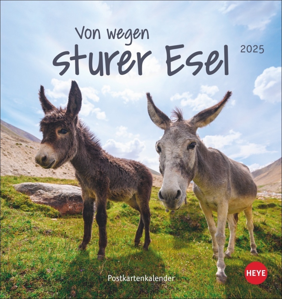 Cover: 9783756407149 | Esel Postkartenkalender 2025 - Von wegen sturer Esel | Kalender | 2025