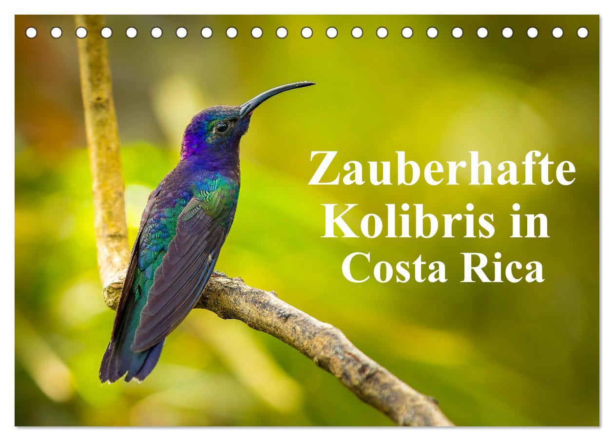 Cover: 9783383887109 | Zauberhafte Kolibris in Costa Rica (Tischkalender 2025 DIN A5...