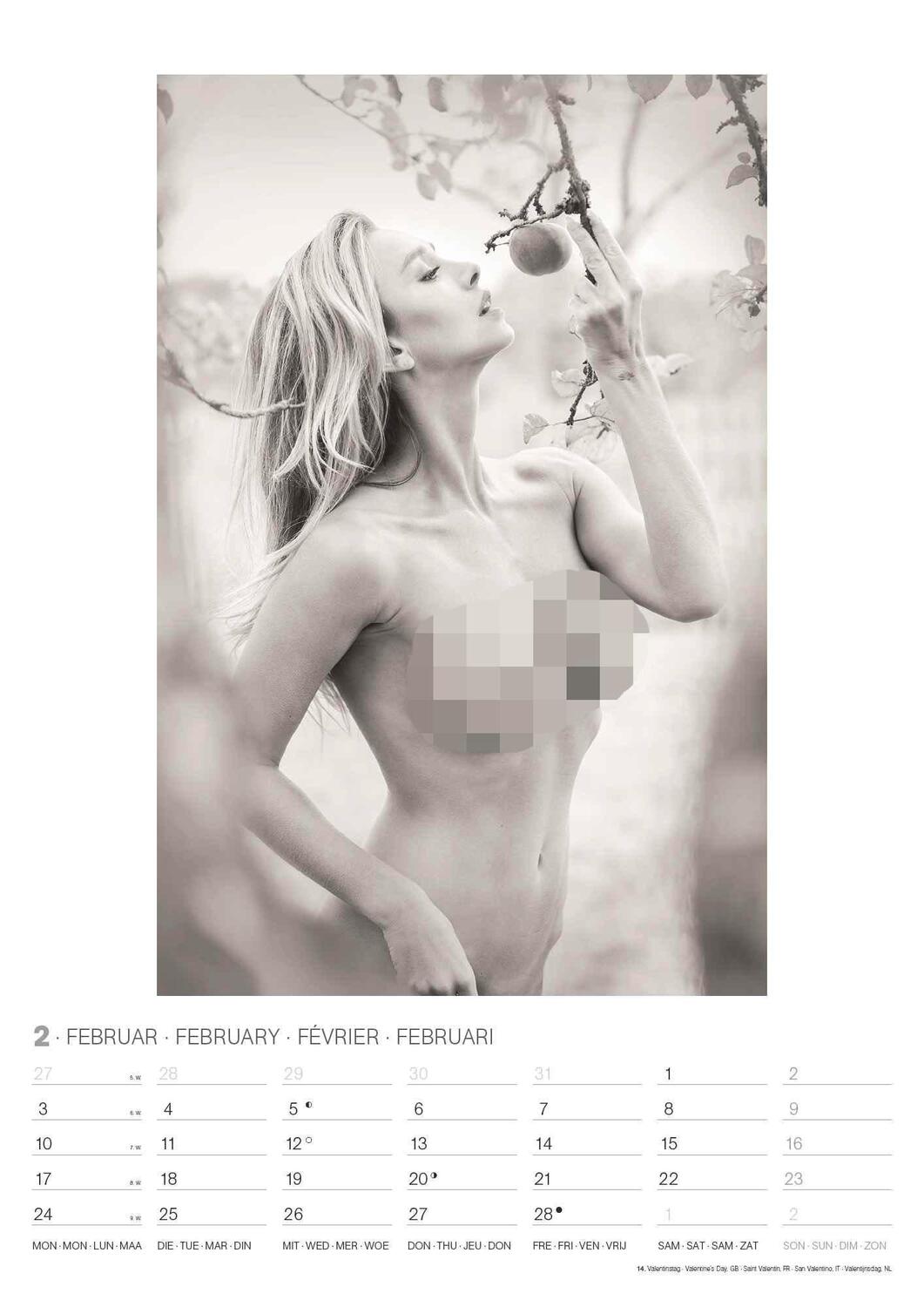 Bild: 4002725994318 | Naked 2025 - Wand-Kalender - 29,7x42 - Erotik-Kalender - Frauen -...