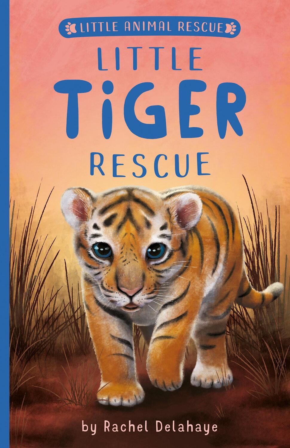 Cover: 9781680104806 | Little Tiger Rescue | Rachel Delahaye | Taschenbuch | Englisch | 2021