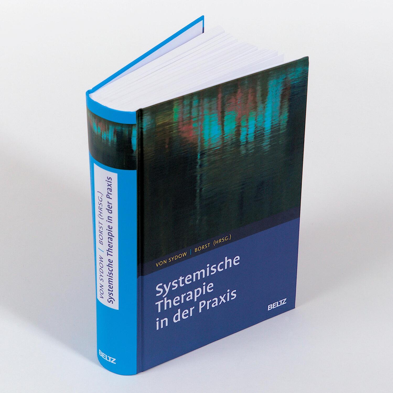 Bild: 9783621285278 | Systemische Therapie in der Praxis | Kirsten von Sydow (u. a.) | Buch