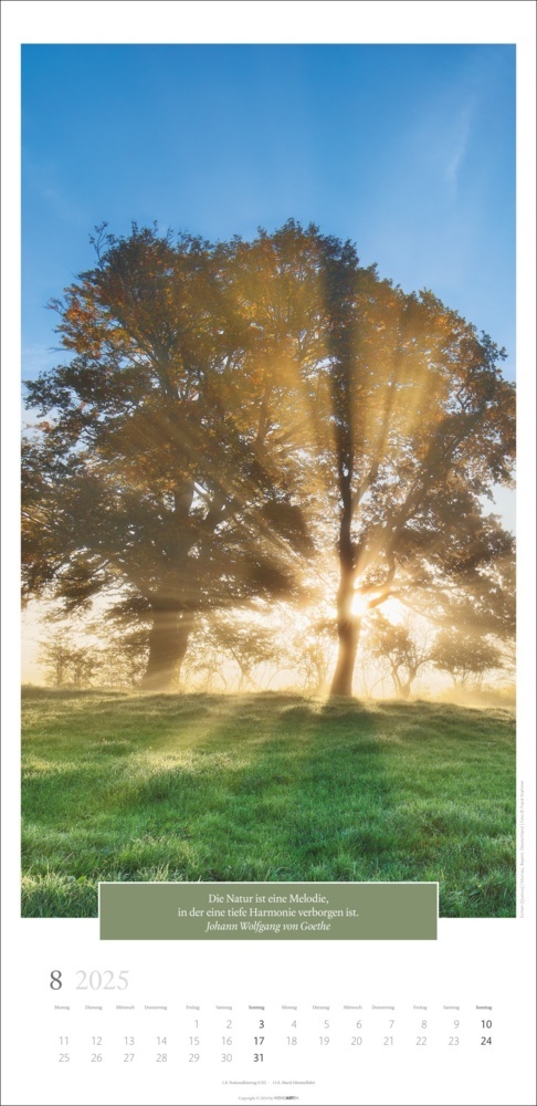 Bild: 9783839900222 | Wunderwelt der Bäume Kalender 2025 | Frank Krahmer | Kalender | 14 S.