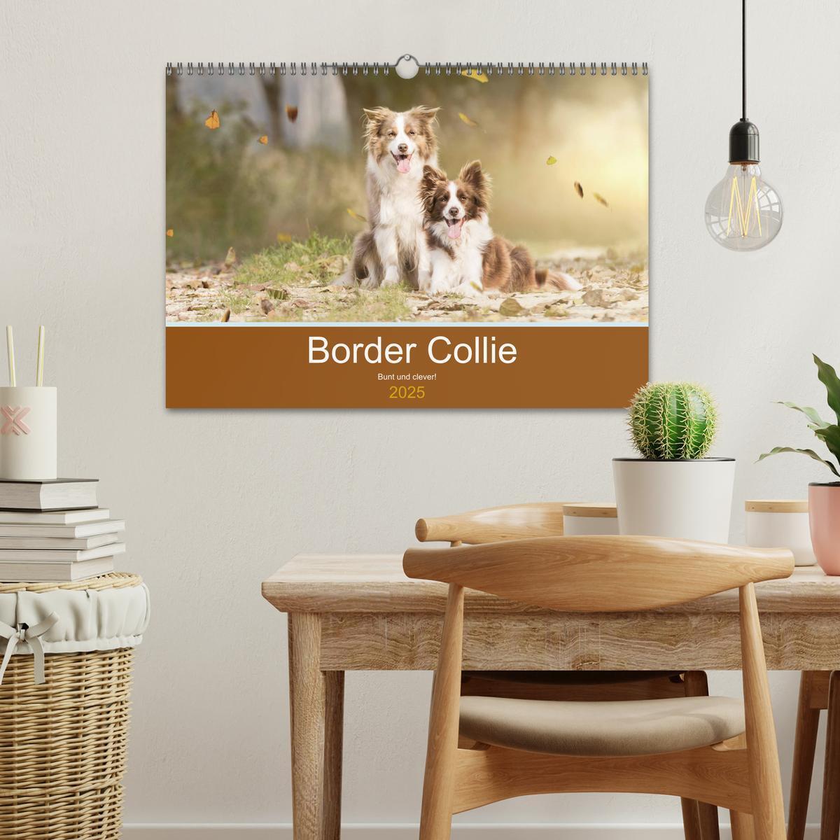 Bild: 9783435191383 | Border Collie - Bunt und clever! (Wandkalender 2025 DIN A3 quer),...