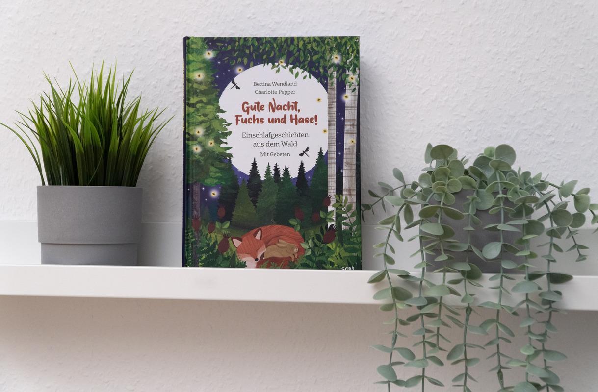 Bild: 9783417280890 | Gute Nacht, Fuchs und Hase! | Bettina Wendland | Buch | 128 S. | 2024