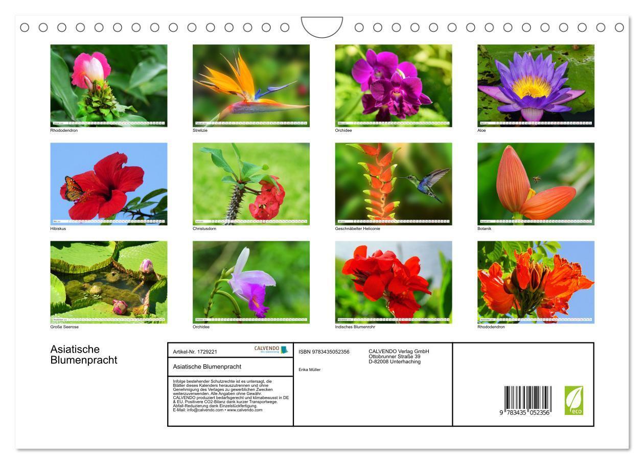 Bild: 9783435052356 | Asiatische Blumenpracht (Wandkalender 2025 DIN A4 quer), CALVENDO...