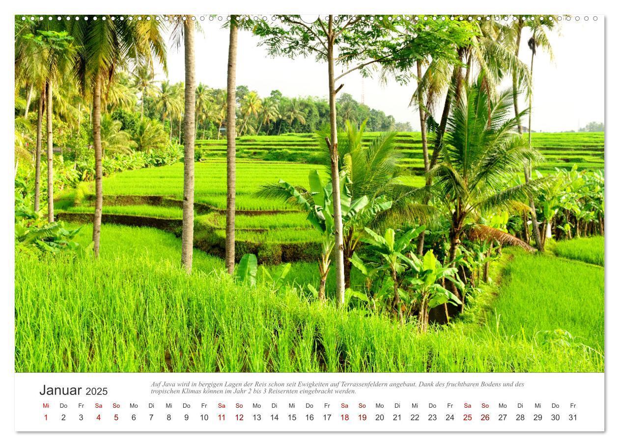 Bild: 9783435043163 | JAVA Natur pur (Wandkalender 2025 DIN A2 quer), CALVENDO...