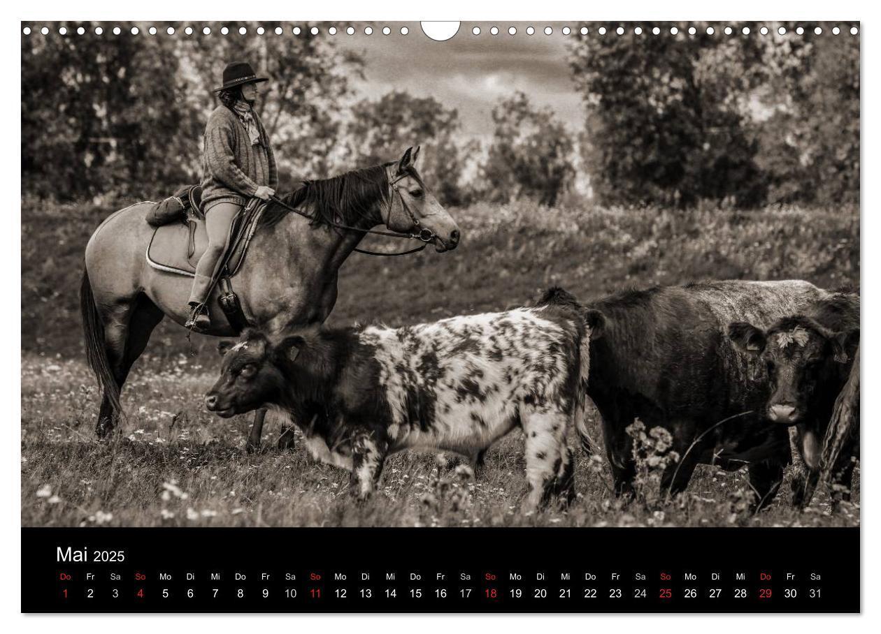 Bild: 9783435569656 | Westernreiten (Wandkalender 2025 DIN A3 quer), CALVENDO Monatskalender