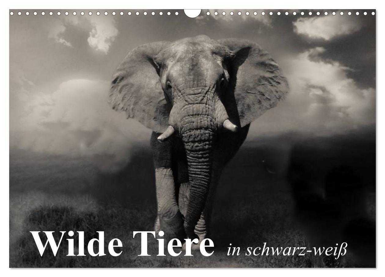 Cover: 9783435600113 | Wilde Tiere in schwarz-weiß (Wandkalender 2025 DIN A3 quer),...