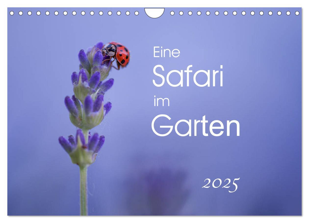 Cover: 9783435457717 | Eine Safari im Garten (Wandkalender 2025 DIN A4 quer), CALVENDO...