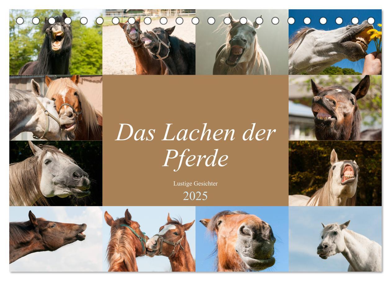 Cover: 9783435190683 | Das Lachen der Pferde - Lustige Gesichter (Tischkalender 2025 DIN...