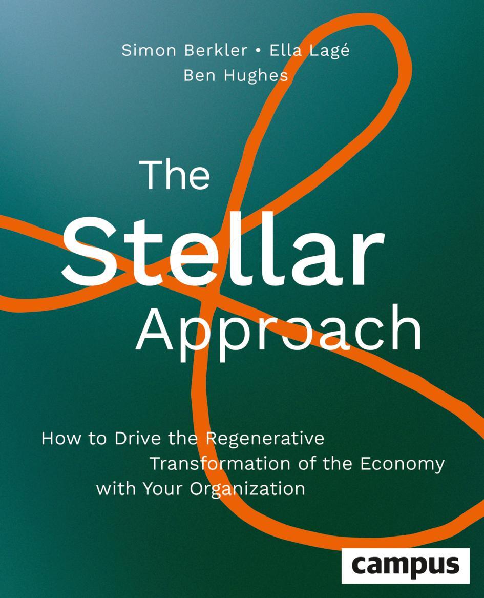 Cover: 9783593519593 | The Stellar-Approach | Simon Berkler (u. a.) | Taschenbuch | 270 S.