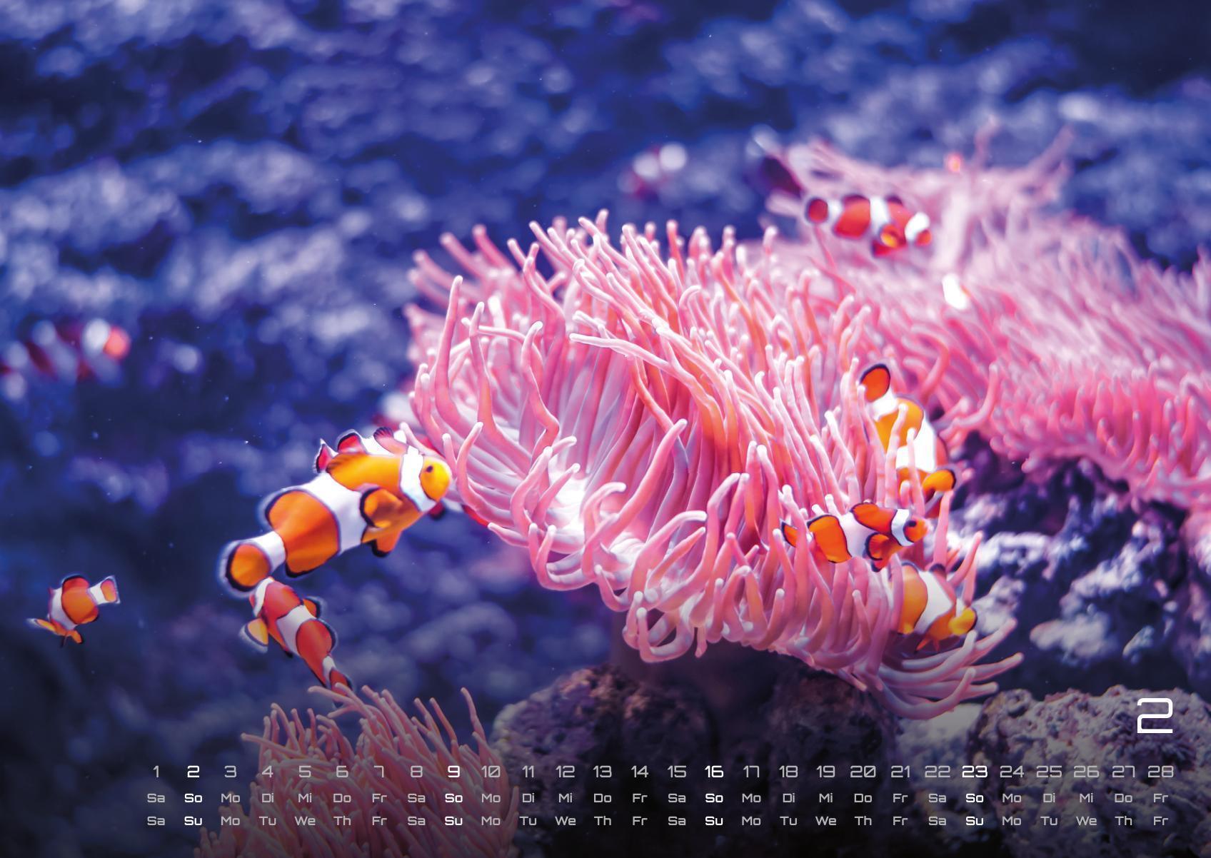 Bild: 9783986734299 | Sealife - verborgene Tiefen - 2025 - Kalender DIN A2 | GP-Fever. de