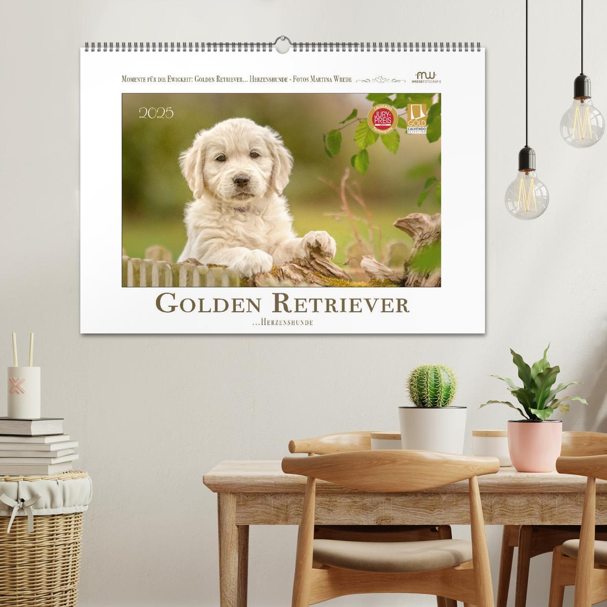 Bild: 9783383828355 | Golden Retriever... Herzenshunde (Wandkalender 2025 DIN A2 quer),...