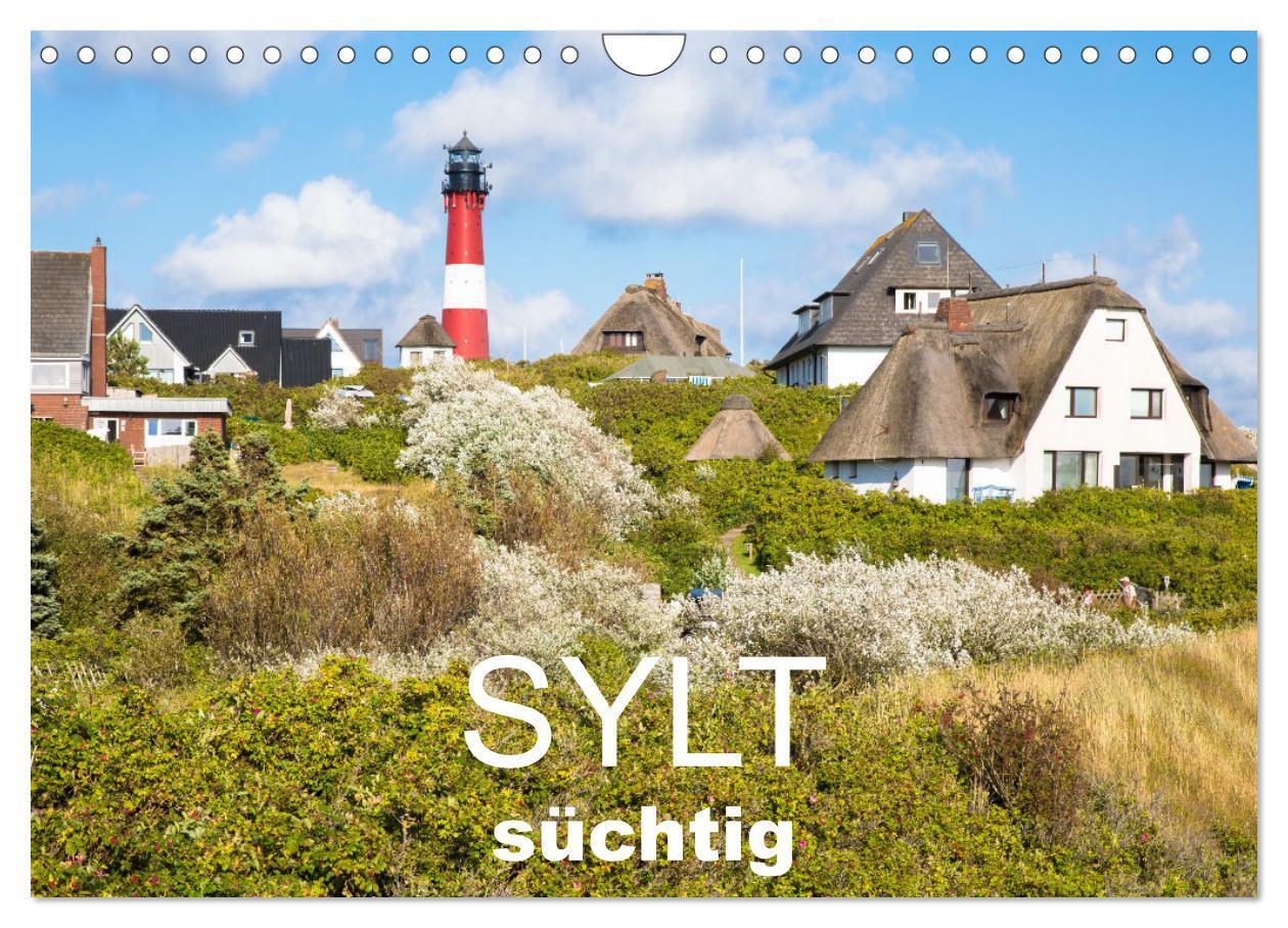 Cover: 9783457214091 | Sylt süchtig (Wandkalender 2025 DIN A4 quer), CALVENDO Monatskalender