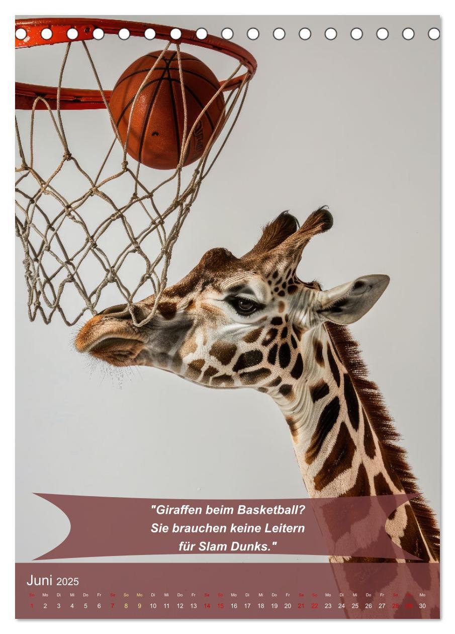 Bild: 9783457167663 | Der tierisch lustige Basketball-Kalender (Tischkalender 2025 DIN A5...