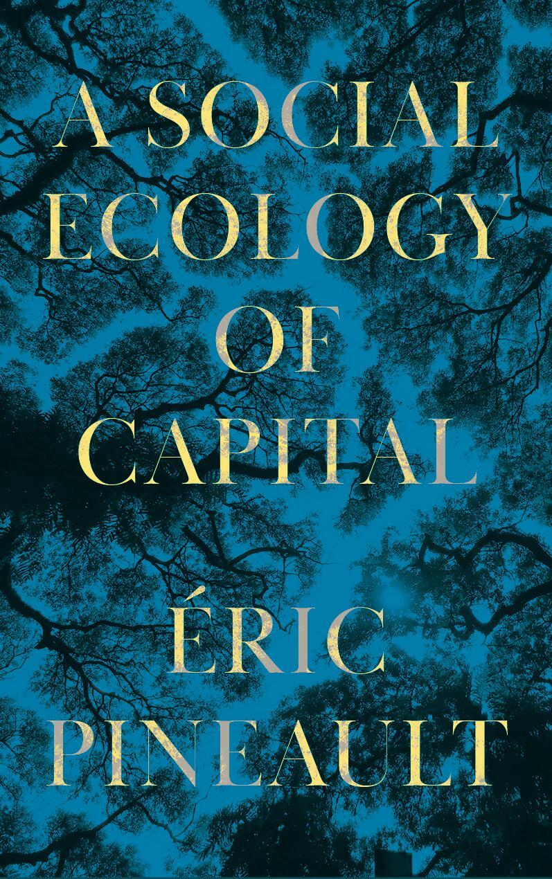 Cover: 9780745343778 | A Social Ecology of Capital | Éric Pineault | Taschenbuch | Englisch