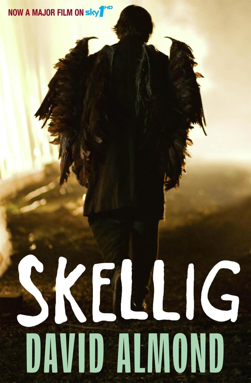 Cover: 9780340997048 | Skellig | TV Tie-In | David Almond | Taschenbuch | Englisch | 2009