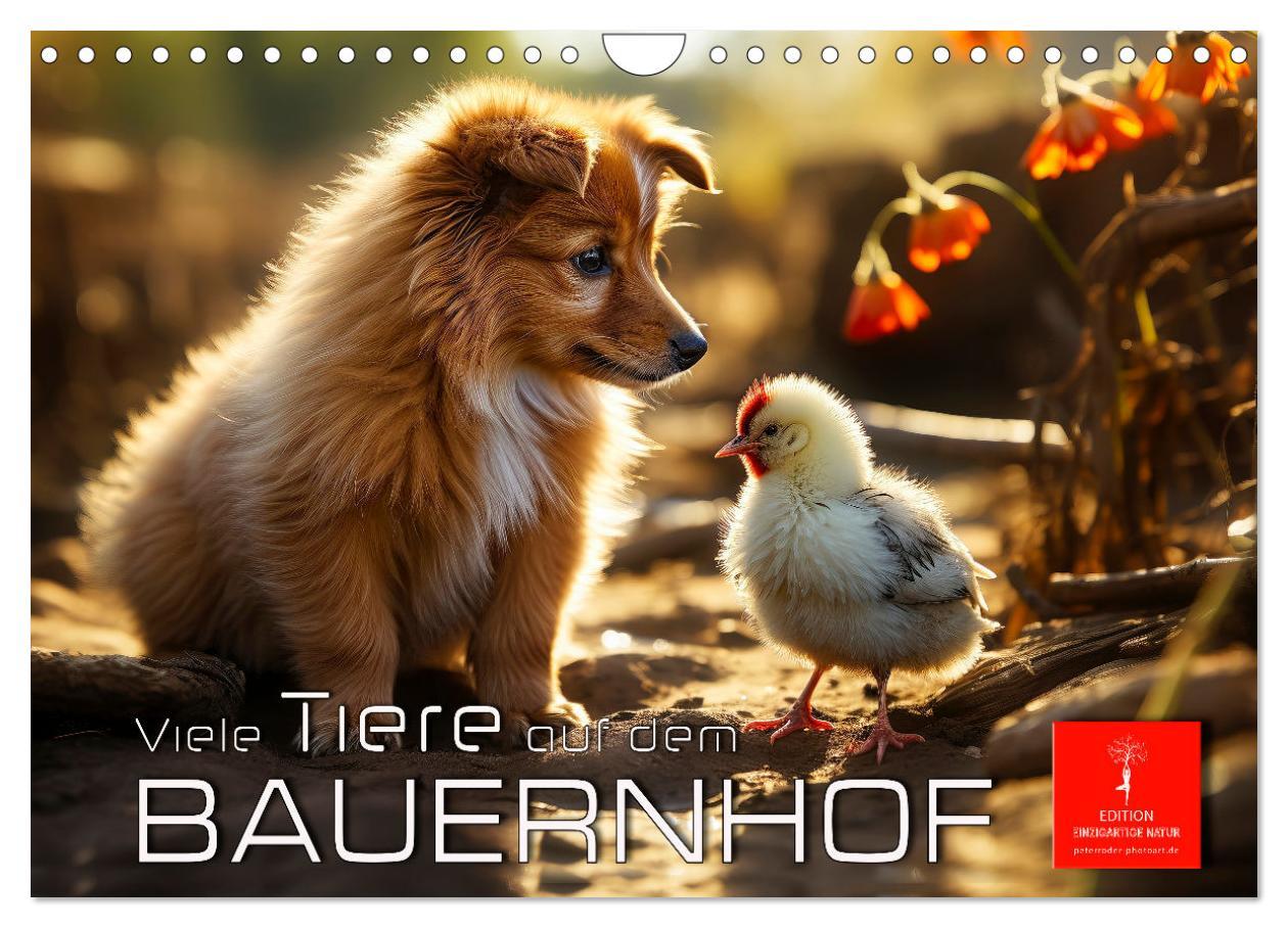 Cover: 9783383835049 | Viele Tiere auf dem Bauernhof (Wandkalender 2025 DIN A4 quer),...