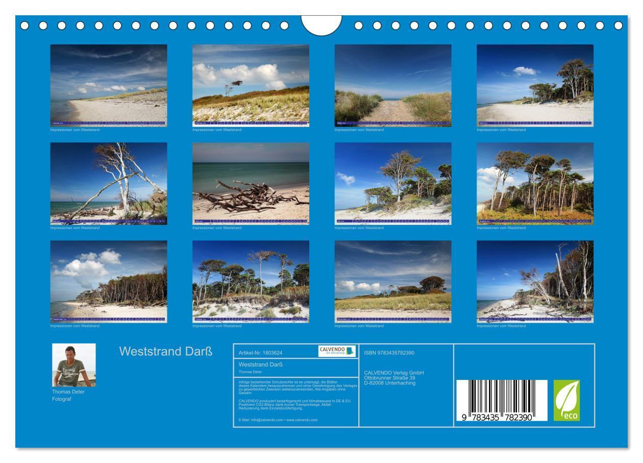 Bild: 9783435782390 | Weststrand Darß (Wandkalender 2025 DIN A4 quer), CALVENDO...