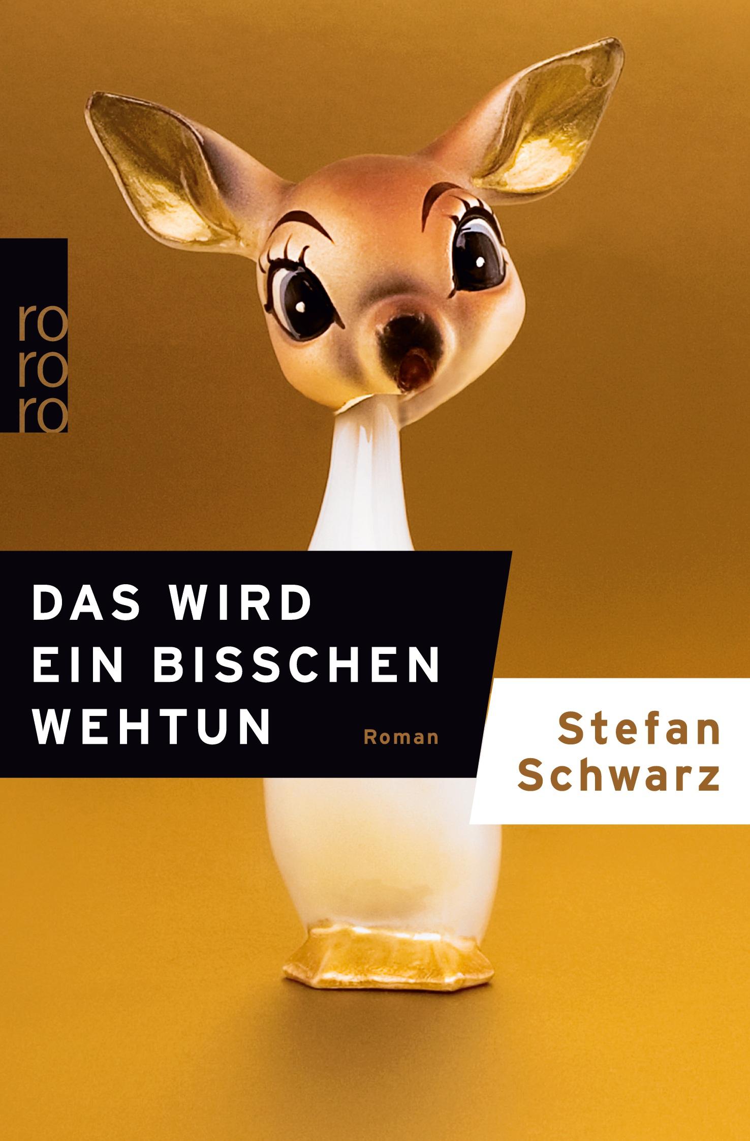 Cover: 9783499256837 | Das wird ein bisschen wehtun | Stefan Schwarz | Taschenbuch | 270 S.