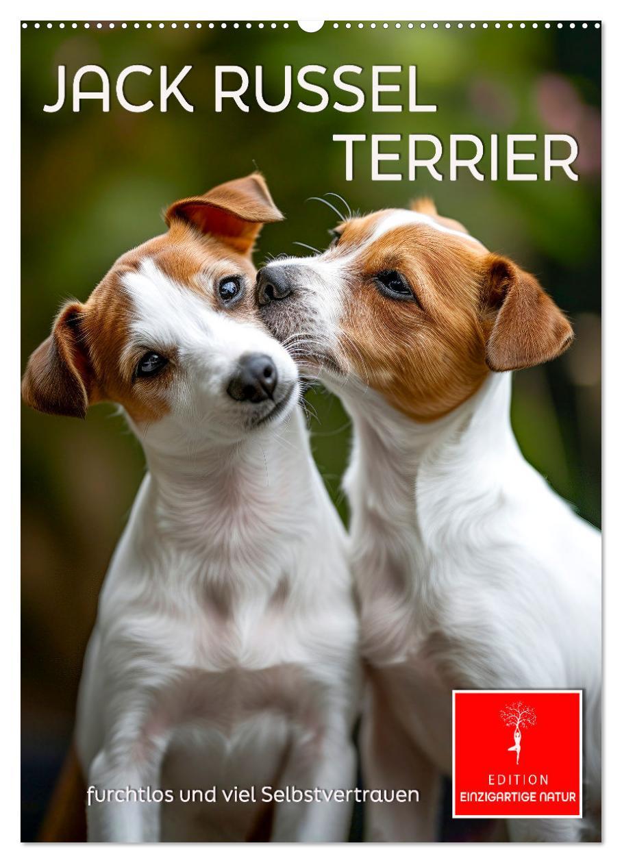 Cover: 9783383778827 | Jack Russel Terrier - furchtlos und viel Selbstvertrauen...